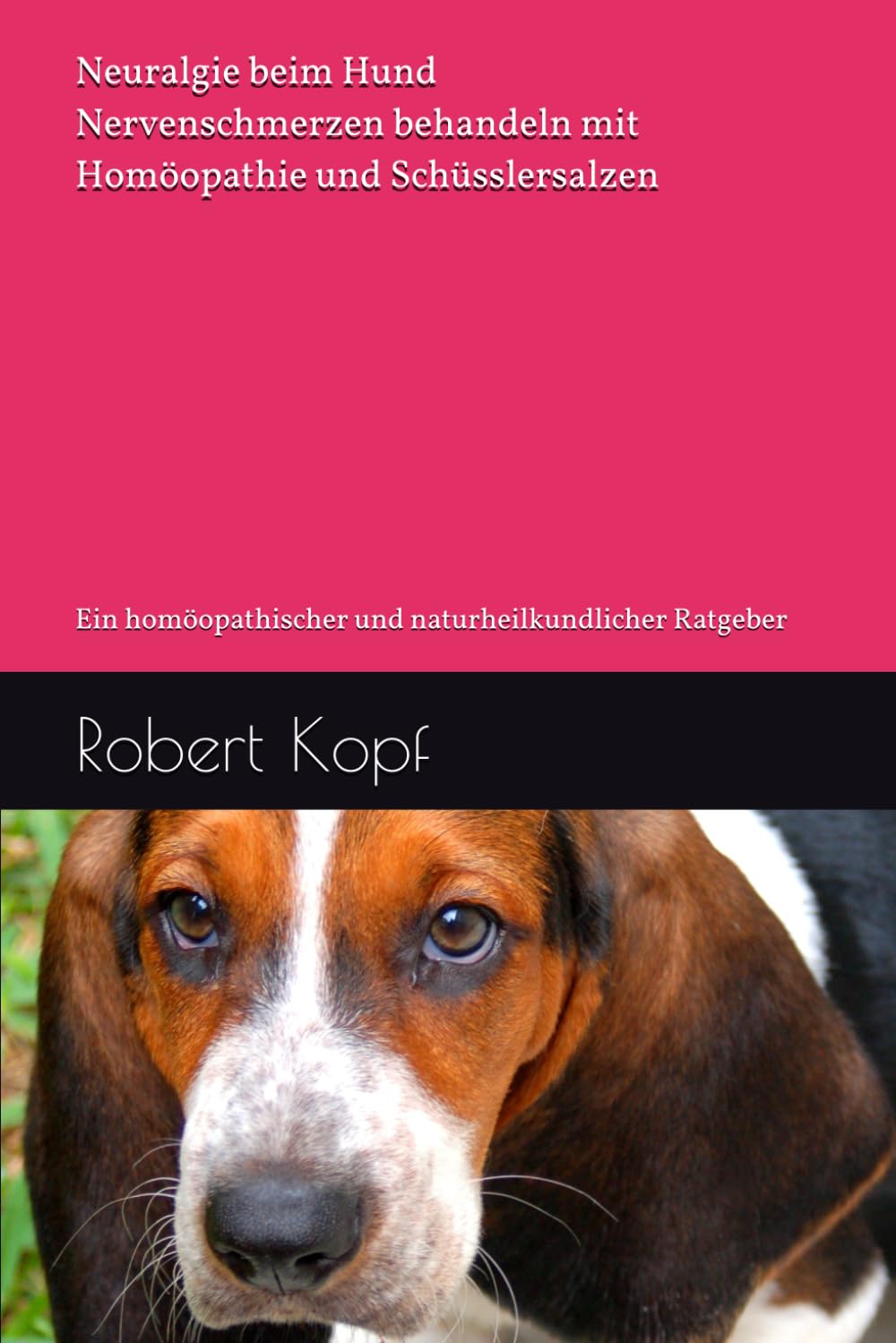 Neuralgie beim Hund - Nervenschmerzen behandeln mit Homöopathie und Schüsslersalzen: Ein homöopathischer und naturheilkundlicher Ratgeber Pets