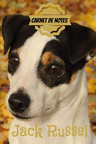 CARNET DE NOTES JACK RUSSEL: carnet de bord de votre animal de compagnie, photo chien de race jack russel, format 15,24 x 22,86 cm, 135 pages, idéal cadeau book