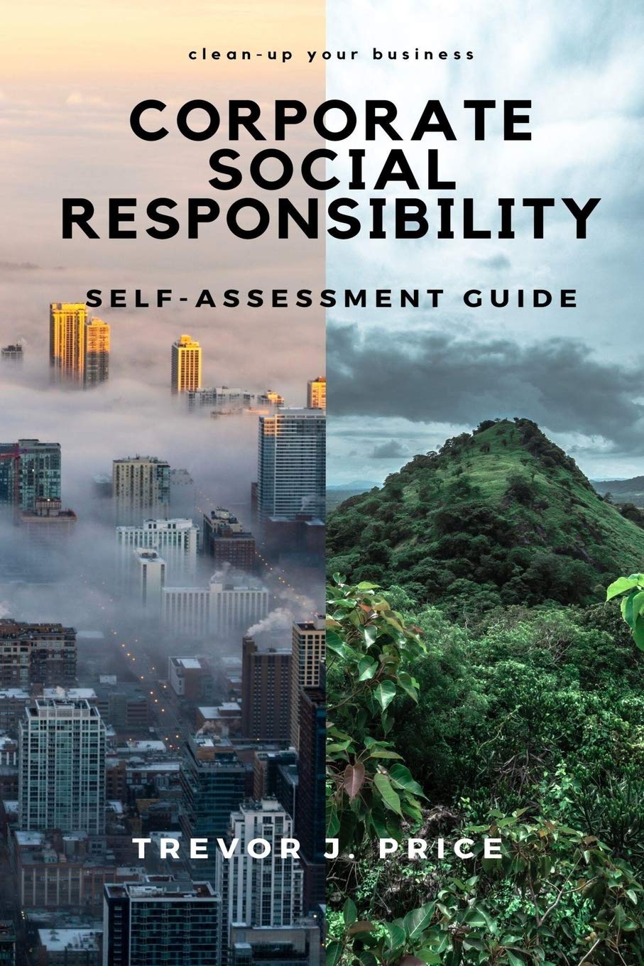 Corporate Social Responsibility: Self-Assessment Guide Business, Finance & Career