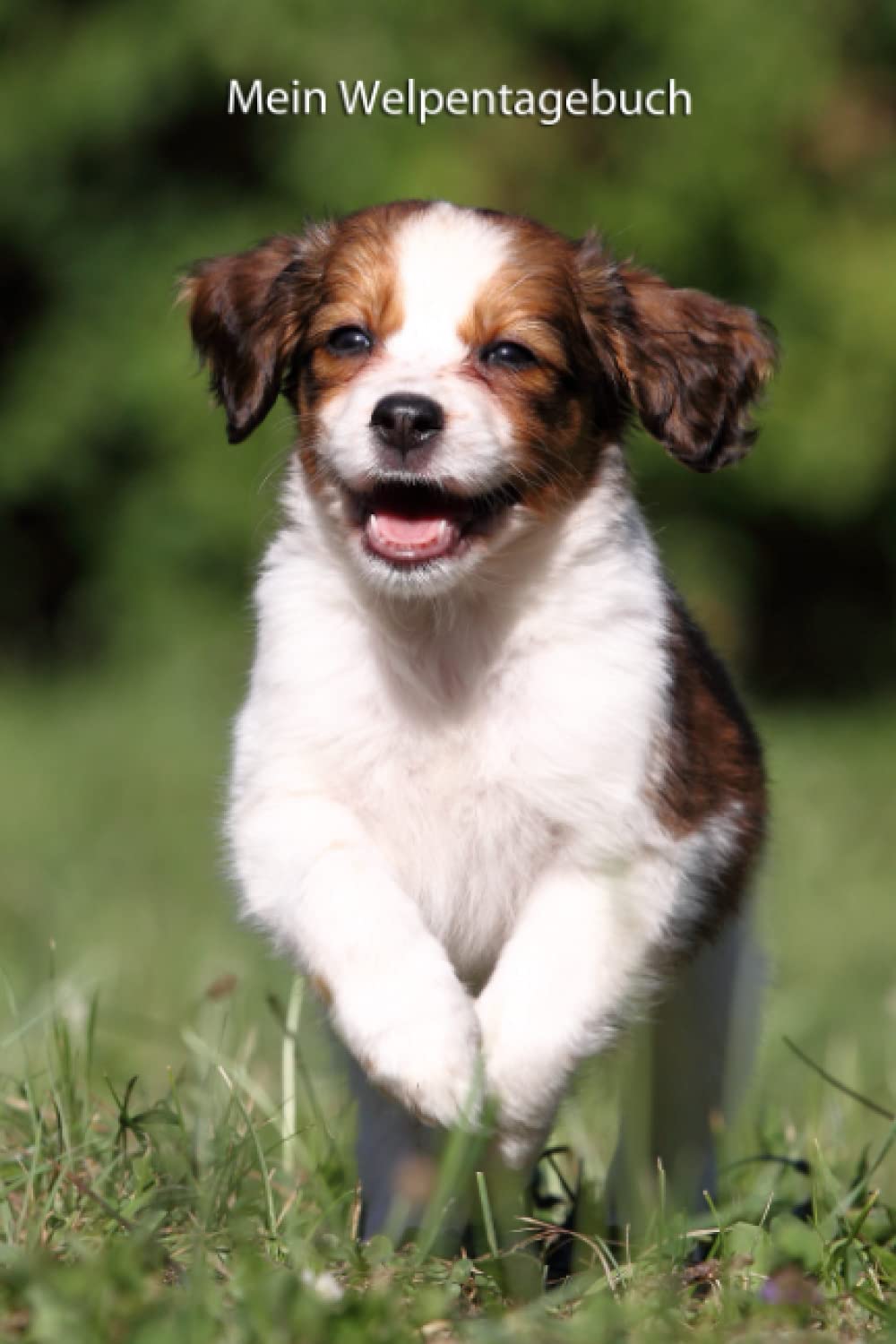 Mein Welpentagebuch: die ersten Monate mit meinem Kooikerhondje (Kooikerhondje - alle Bücher: Trainingstagebuch, Krankenakte und Welpentagebuch, Band 3) Pets
