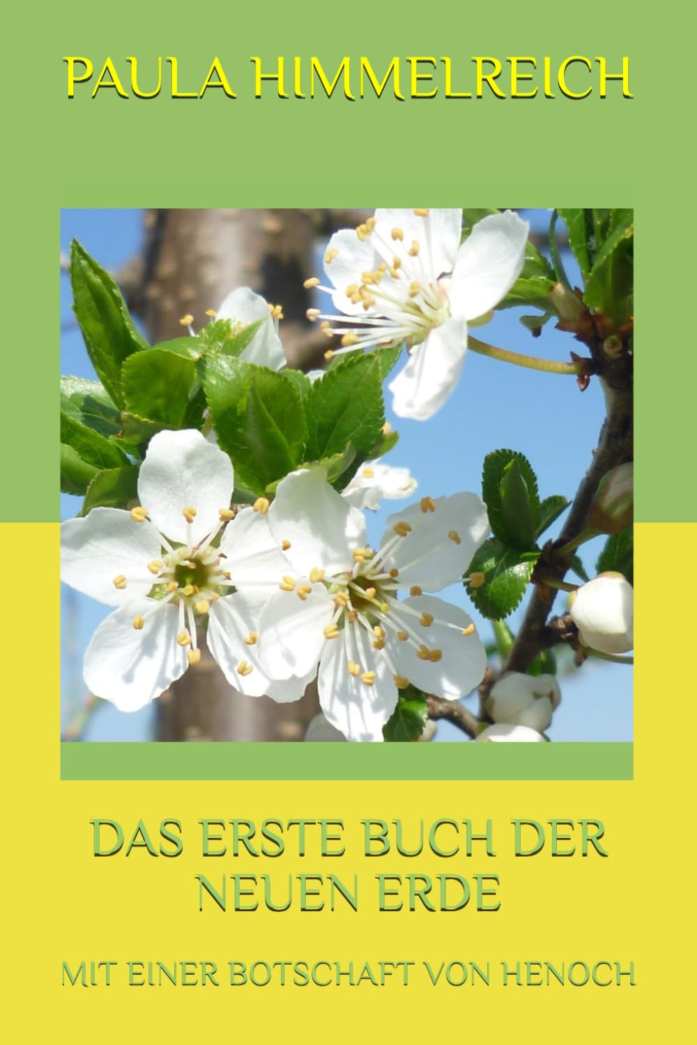 DAS ERSTE BUCH DER NEUEN ERDE: MIT EINER BOTSCHAFT VON HENOCH Lifestyle