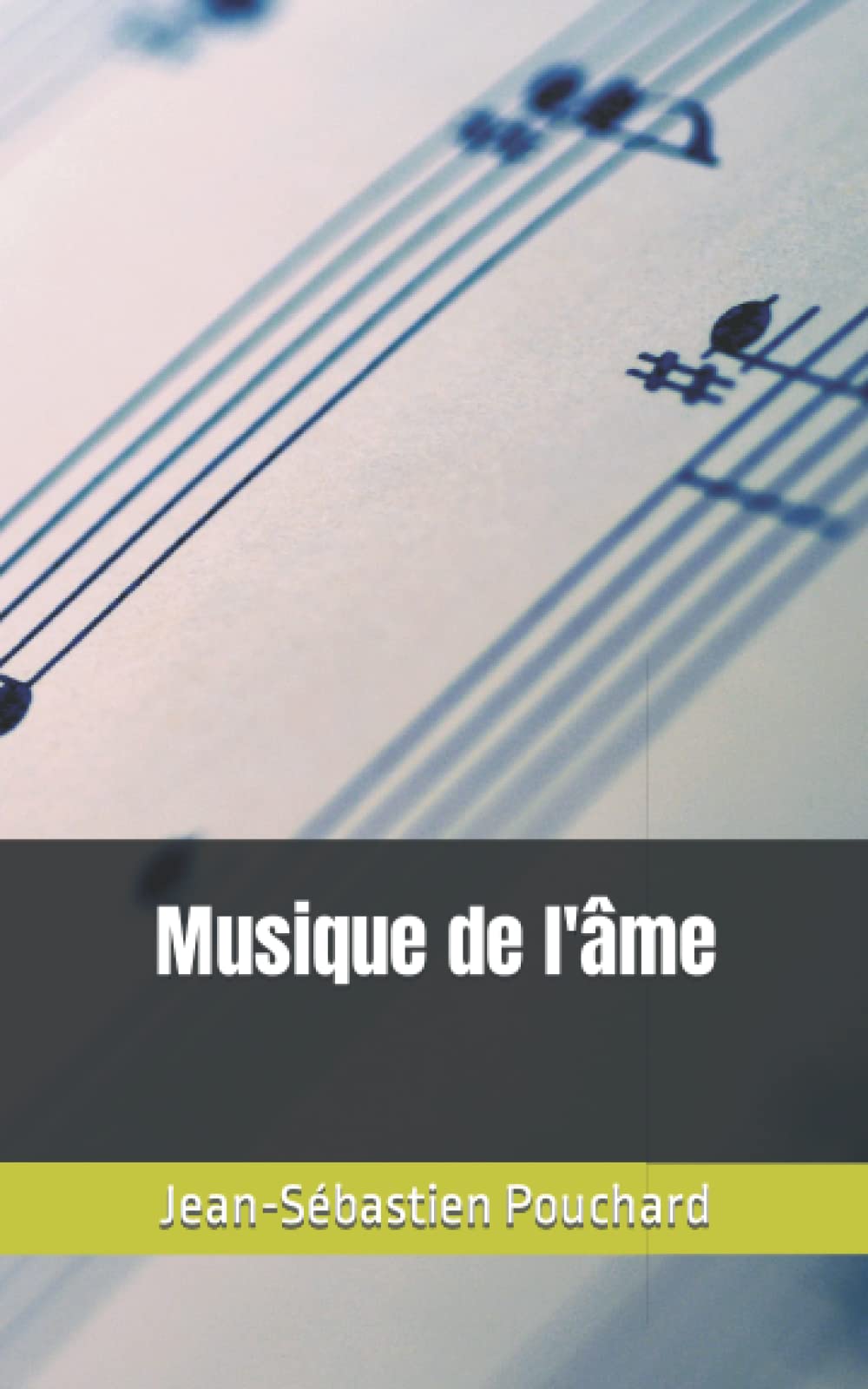 Musique de l'âme book