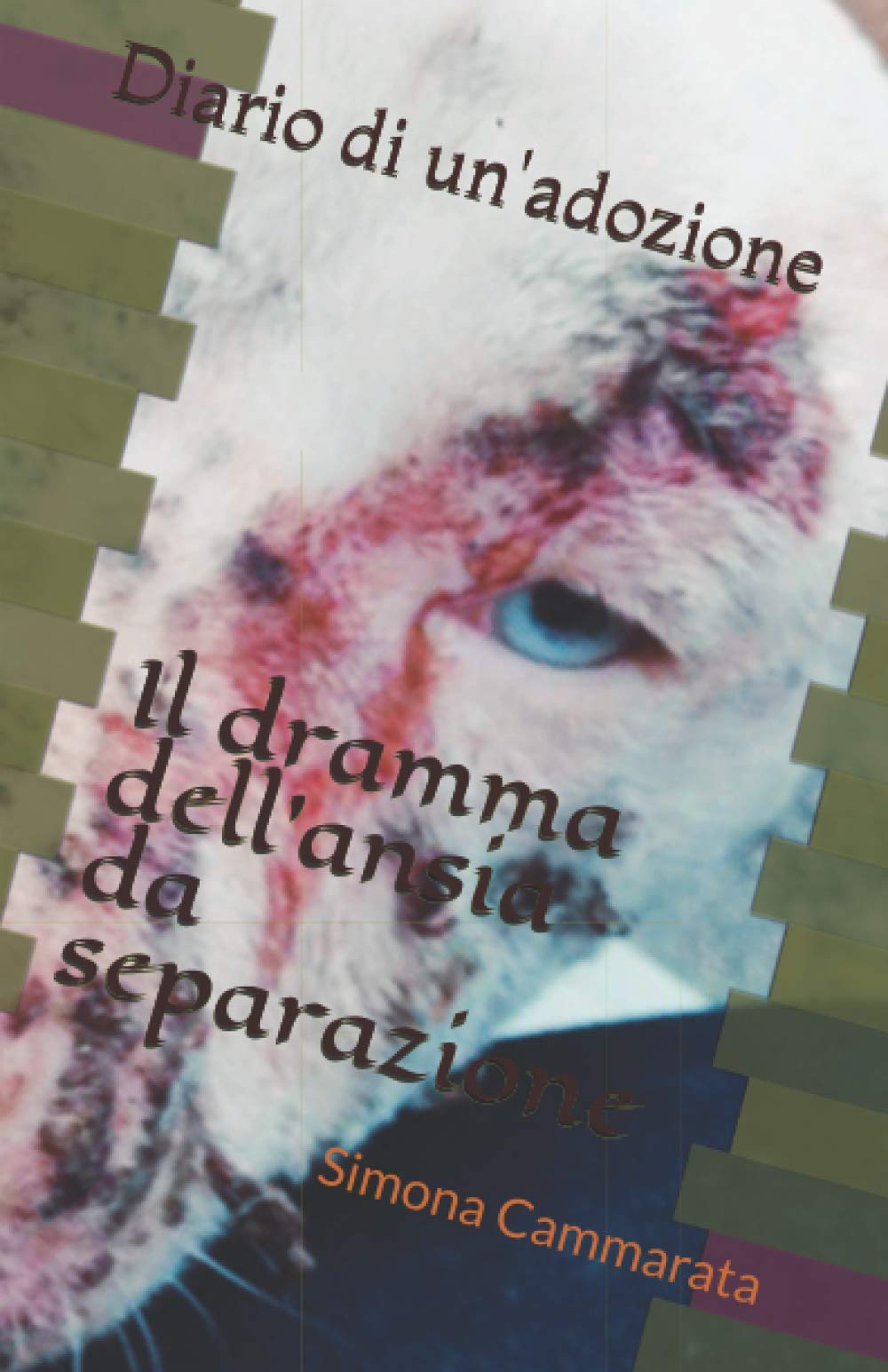 Diario di un'adozione: Il Dramma dell'Ansia da Separazione book
