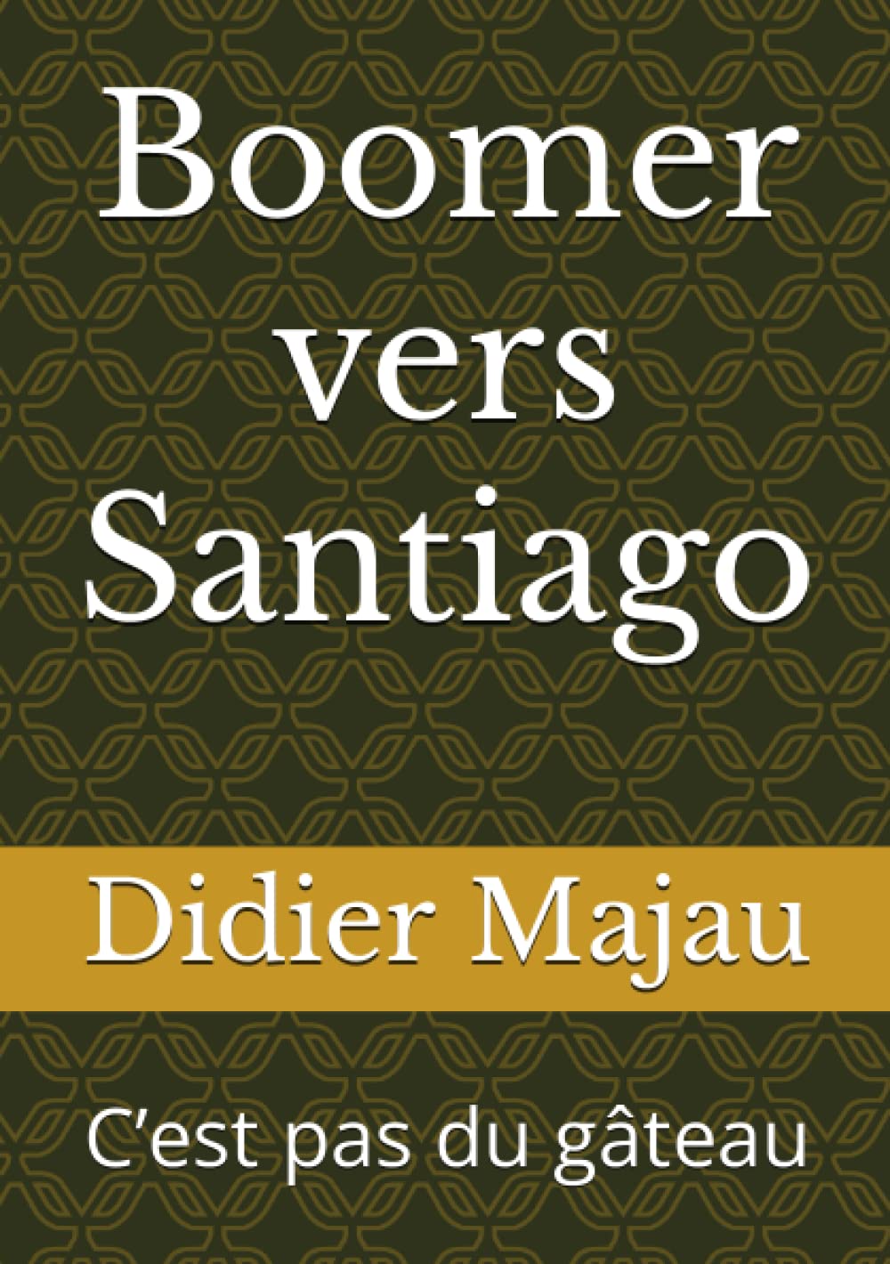 Boomer vers Santiago: C’est pas du gâteau Politics & Society