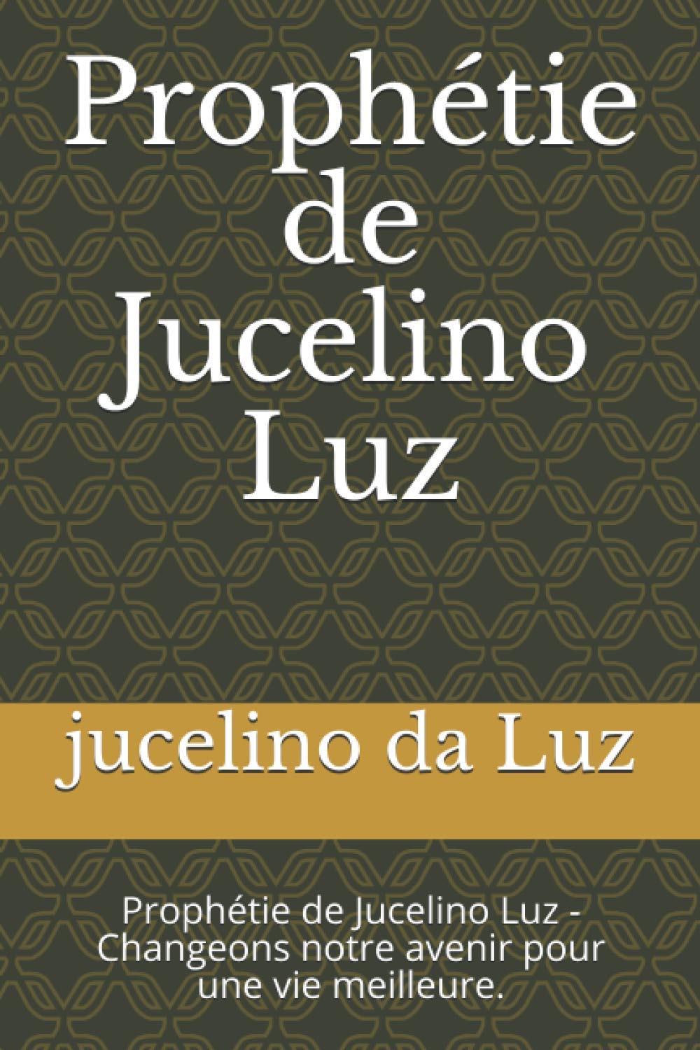 Prophétie de Jucelino Luz: Prophétie de Jucelino Luz - Changeons notre avenir pour une vie meilleure. book