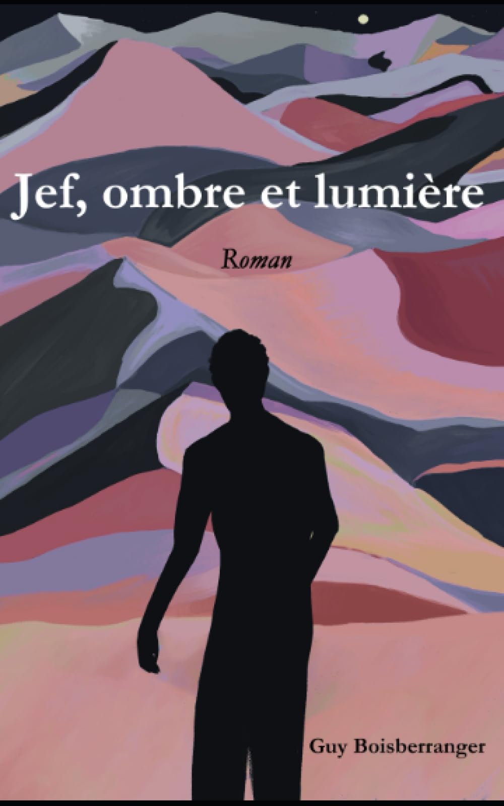 Jef, ombre et lumière: Roman book