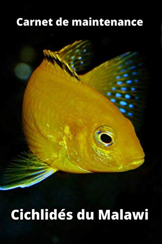 Carnet de maintenance ǀ Cichlidés Malawi ǀ 6 x 9 ǀ 100 pages ǀ Journal de bord aquarium ǀ Entretien aquarium ǀ Lac Malawi ǀ Lac Africain: Suivi ... la bonne santé de vos poissons ǀ Traitement.. book
