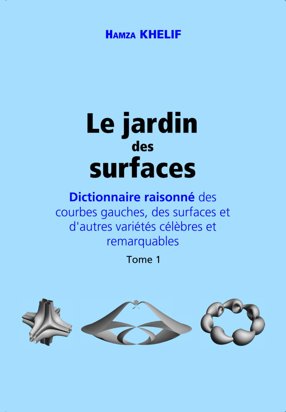 Le jardin des surfaces: Dictionnaire raisonné des courbes gauches, des surfaces et d'autres variétés célèbres et remarquables book