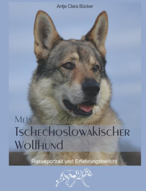 Mein Tschechoslowakischer Wolfshund: Rasseportrait und Erfahrungsbericht Pets