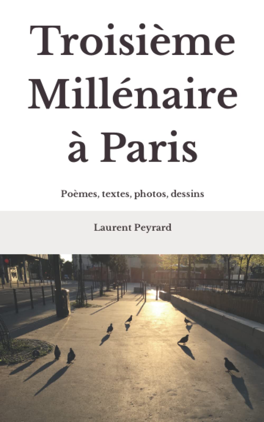Troisième Millénaire à Paris: Poèmes, textes, photos, dessins book