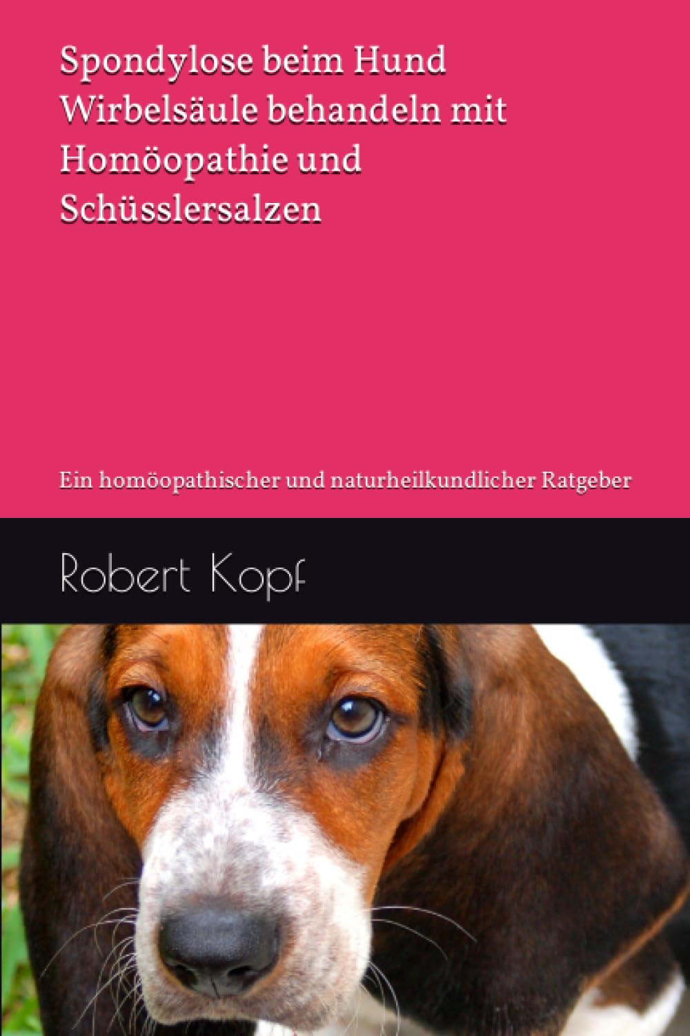 Spondylose beim Hund - Wirbelsäule behandeln mit Homöopathie und Schüsslersalzen: Ein homöopathischer und naturheilkundlicher Ratgeber Pets
