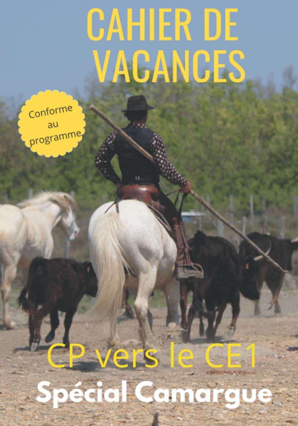 Cahier de vacances conforme au programme CP vers le CE1 spécial Camargue: Un livre différent pour apprendre en s'amusant l'enfant progresse sans ... Format pratique couverture brillante souple Tiptoi & Games