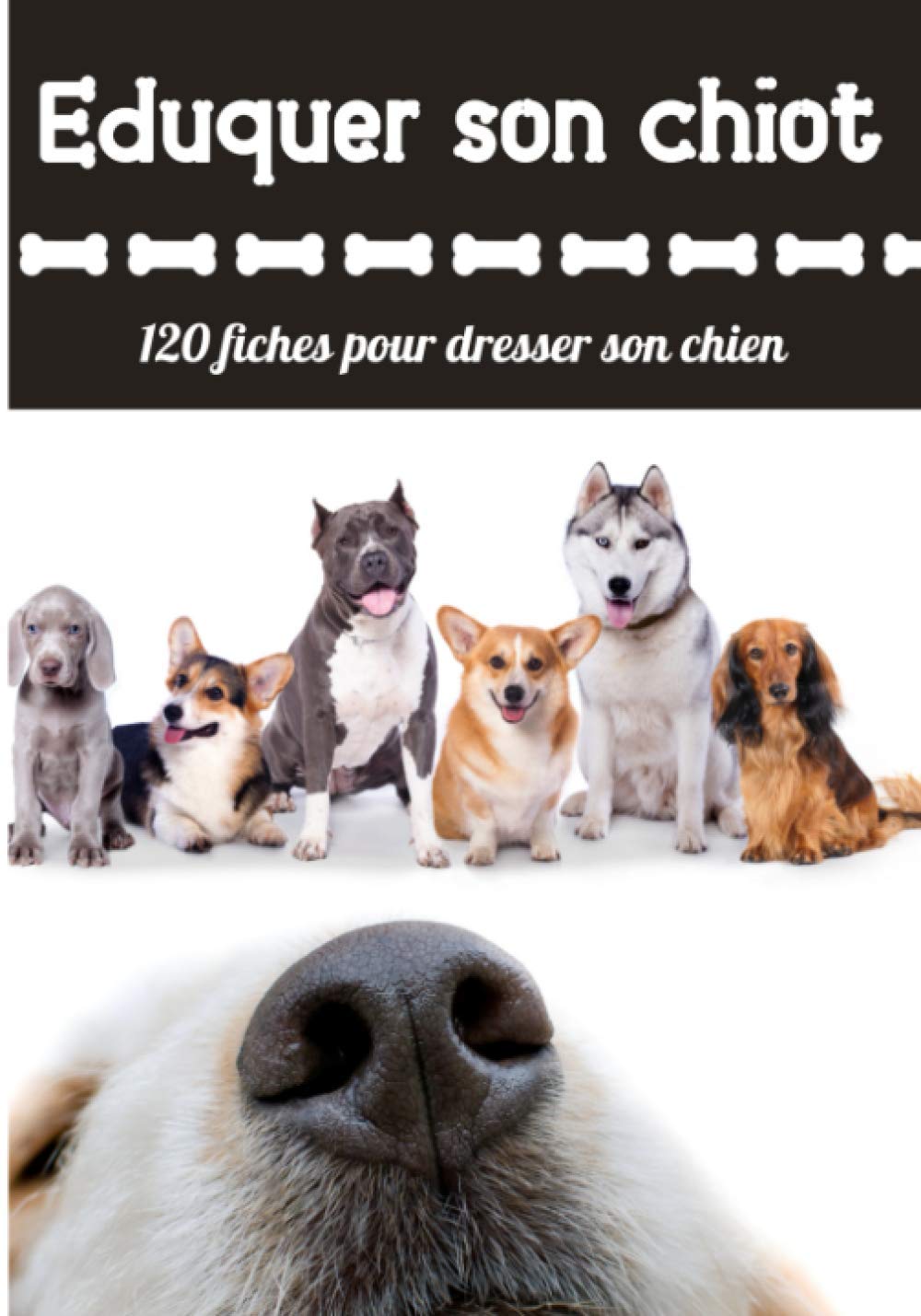 Eduquer son chiot 120 fiches pour dresser son chien: Éduquer son chien avec amour | 120 fiches pour dresser son chien facilement | book