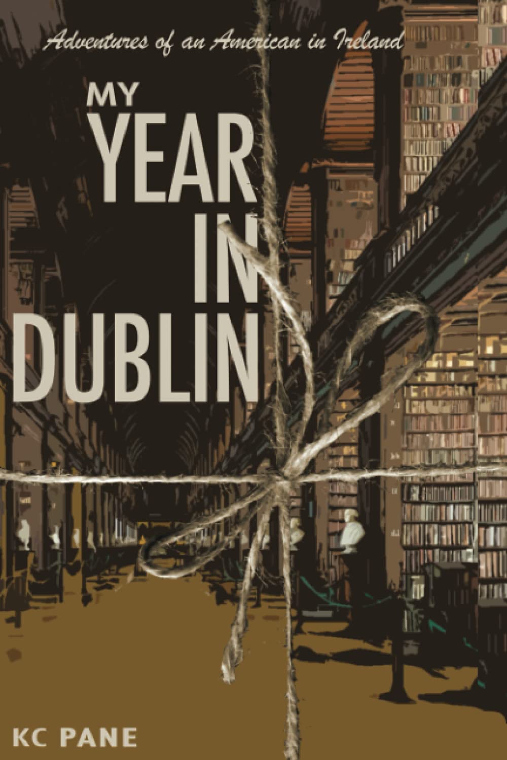 My Year in Dublin: Adventures of an American in Ireland Politics & Society