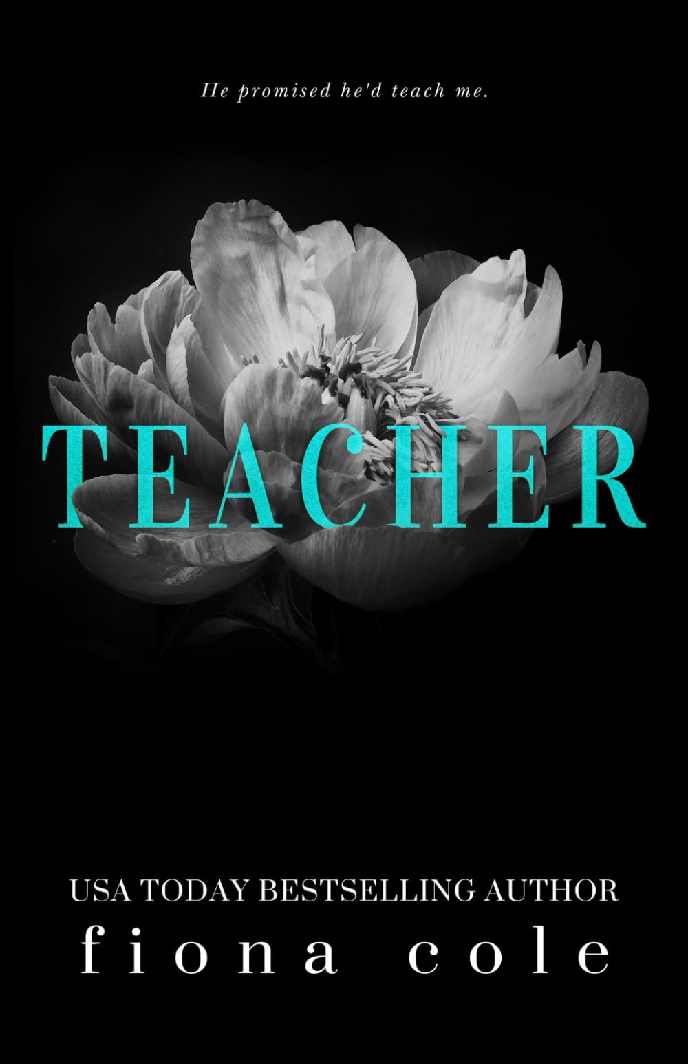 Teacher (Voyeur Series, Band 6) Contemporary Romance
