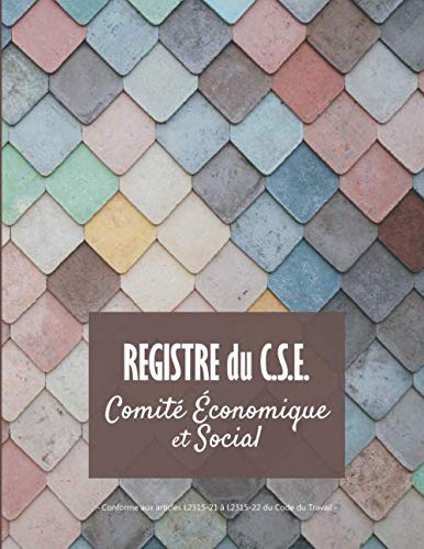 Registre du CSE Comité Social et Économique: v4-7 Format large | Conforme aux articles L2315-21 à L2315-22 du Code du Travail | 21,59cm x 27,94cm | fond panaché de couleur book