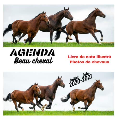 LIVRE DE NOTE AVEC AGENDA sur le thème des chevaux de juillet2020 à juin 2021 , avec des magnifique photos de chevaux: Livre illustré et de note ... des superbes photos de chevaux, cadeau idéal book
