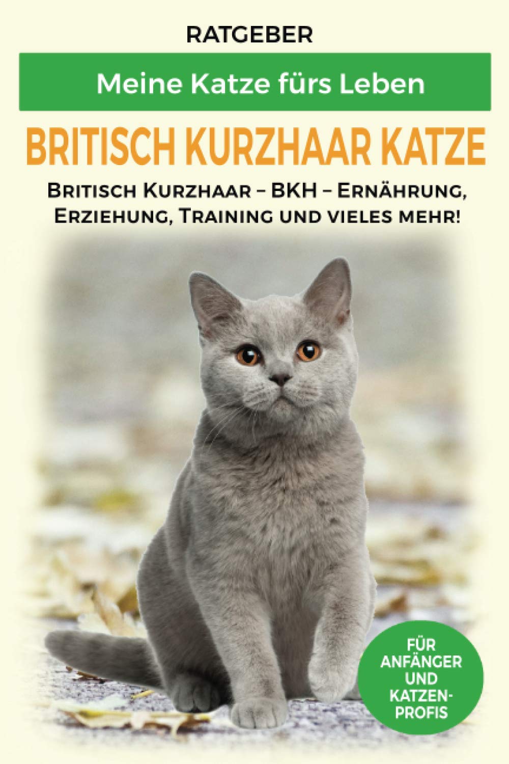 Britisch Kurzhaar Katze: Britisch Kurzhaar Katze Ratgeber - BKH Katze - Erziehung, Ernährung und Pflege (Katzenrassen) Books about Pets