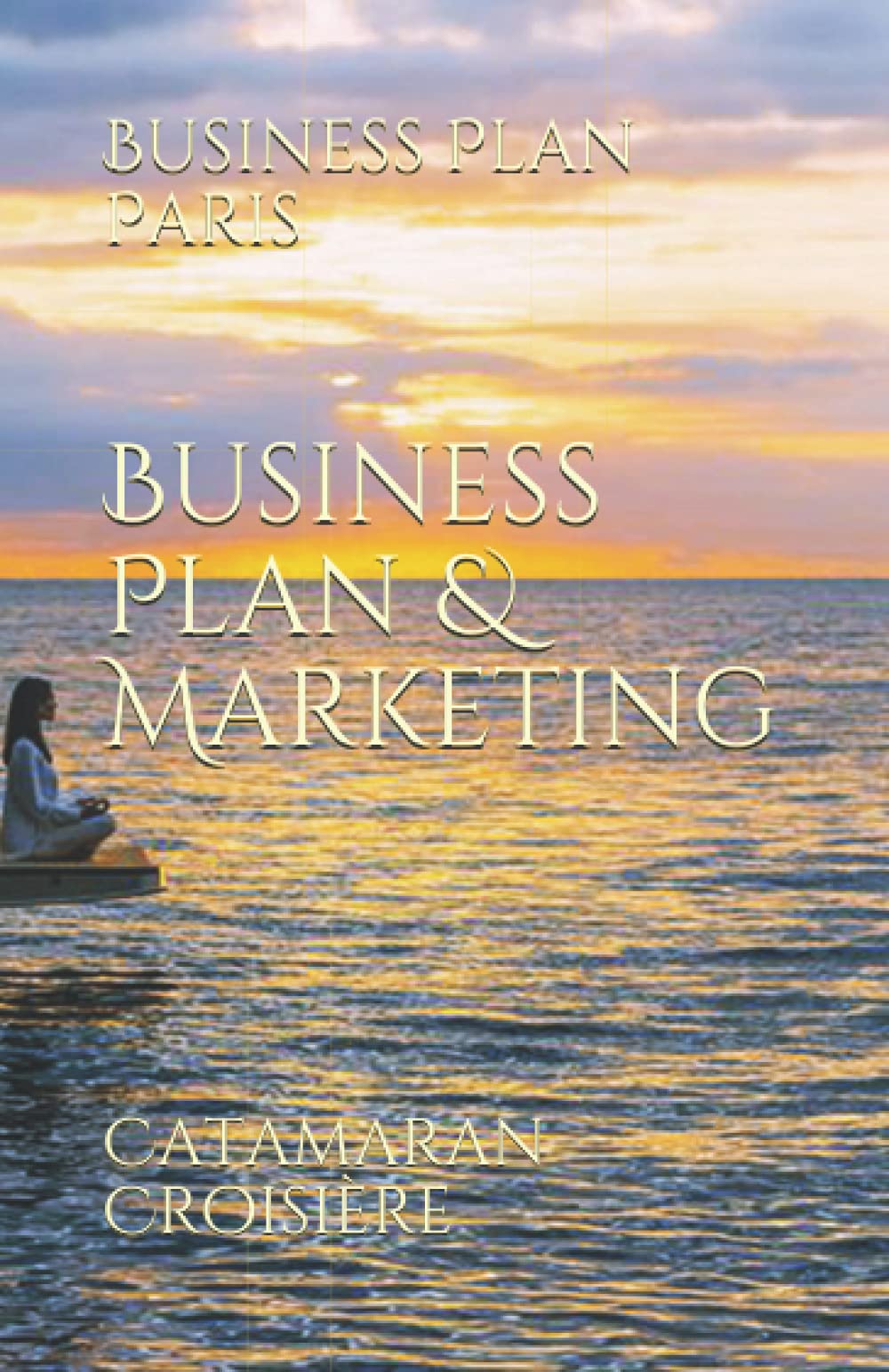 Business Plan & Marketing: Catamaran Croisière book