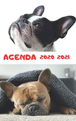 Agenda 2020 2021 - CHIEN BULLDOG - Du 31 Août 2020 au 4 Juillet 2021: 1 jour scolaire sur une page entière book