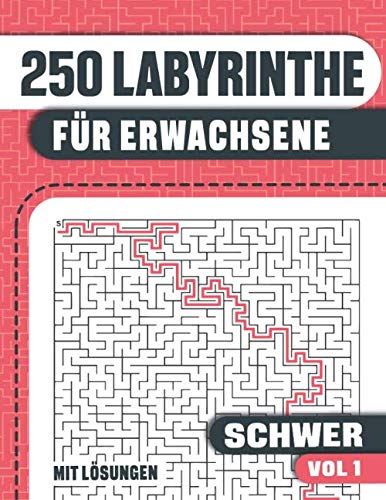 250 Labyrinthe für Erwachsene: Buch mit 250 schwere Labyrinthe für Erwachsene, Jugendliche und Senioren Leisure & Fun
