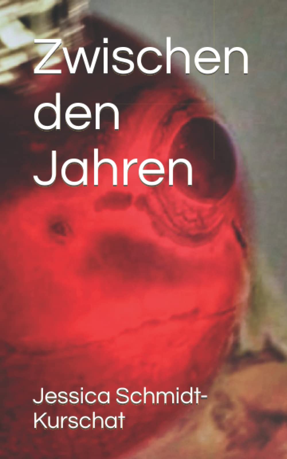 Zwischen den Jahren: Roman Contemporary literature