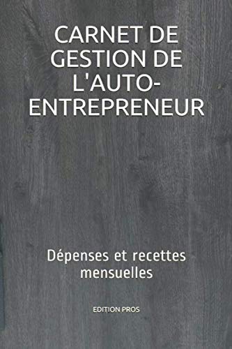 CARNET DE GESTION DE L'AUTO-ENTREPRENEUR: Dépenses et recettes mensuelles book