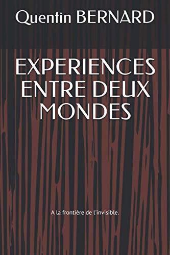 EXPERIENCES ENTRE DEUX MONDES: A la frontière de l'invisible. book