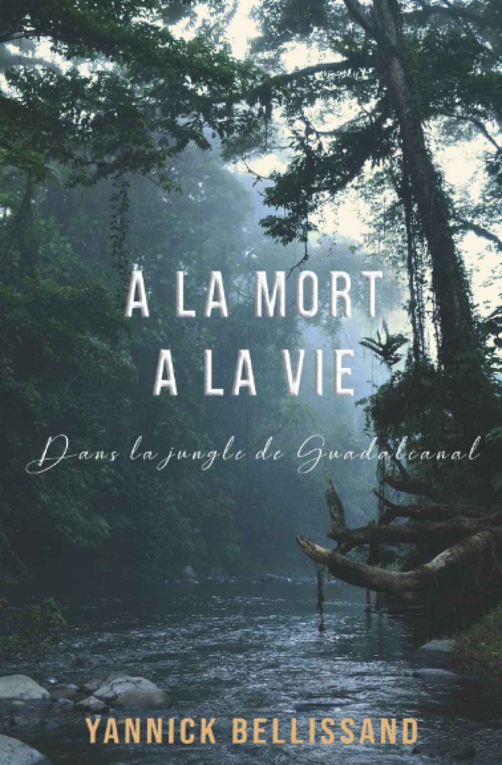 A la mort à la vie: dans la jungle de Guadalcanal Politics & Society