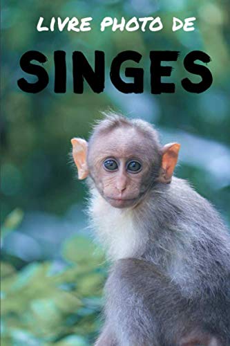 Livre photo de singes: Livre d'images relaxantes pour seniors et bien plus - Parfait pour les personnes souffrant de démence ou d’Alzheimer book