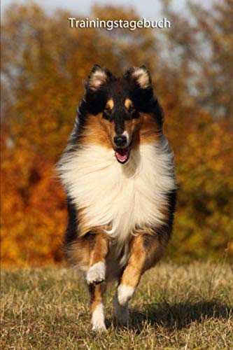 Trainingstagebuch: für Deinen Collie - mit Vorlagen schnell und einfach das Training dokumentieren (Amerikanischer Collie - alle Bücher: ... BARF Planer und Welpentagebuch, Band 6) Pets