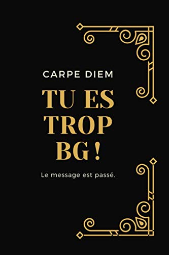 Tu es trop BG: le message est passé/ cadeau de carnet de notes ligné pour faire passer un message / CARPE DIEM/ petit format book