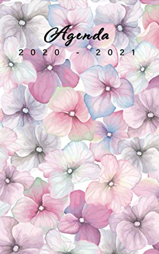 Agenda 2020 2021 Scolaire: Journalier, 1 jour par page, de Aout 2020 à Juillet 2021| Dates en Français | Petit format A5 | Pour collégien, lycéen et étudient book