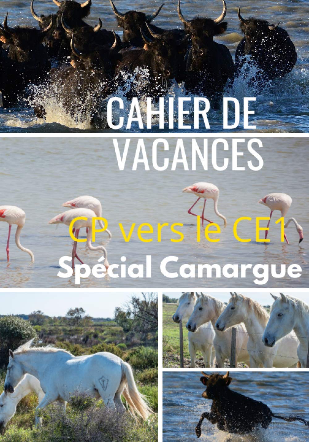 Cahier de Vacances CP vers le ce1 Spécial Camargue: Un cahier de Vacances sur le thème de la Camargue votre enfant va adorer et enrichir son vocabulaire tout en s’amusant. Tiptoi & Games