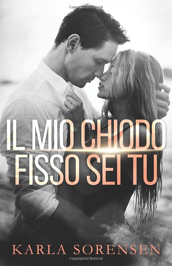 Il mio chiodo fisso sei tu book