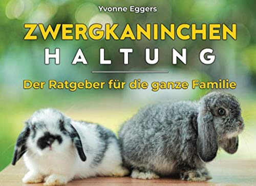 Zwergkaninchen Haltung: Der Ratgeber für die ganze Familie Pets