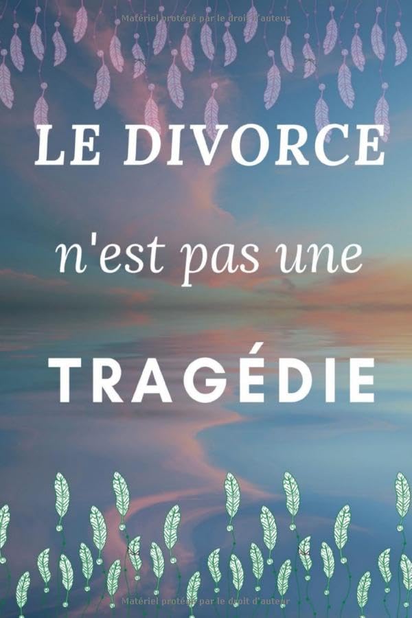 Le divorce n'est pas une Tragédie: Ce journal vous aidera à vous reconstruire après votre divorce ou séparation, 40 fiches d'exercices afin de suivre ... et de faire un bilan de vos émotions. book
