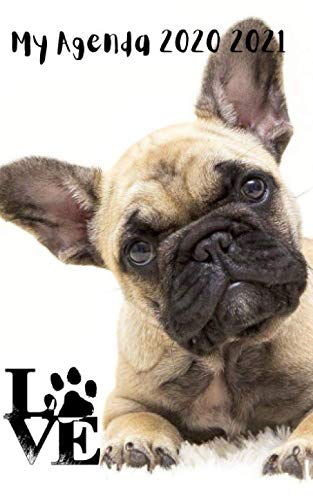 Agenda Scolaire 2020 2021 Journalier Chiot Bouledogue français, 280 pages 12,7x 20,32cm book