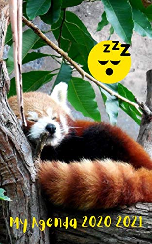 Agenda Scolaire 2020 2021 Journalier Panda Roux: 280 pages 12,7x20,32cm book