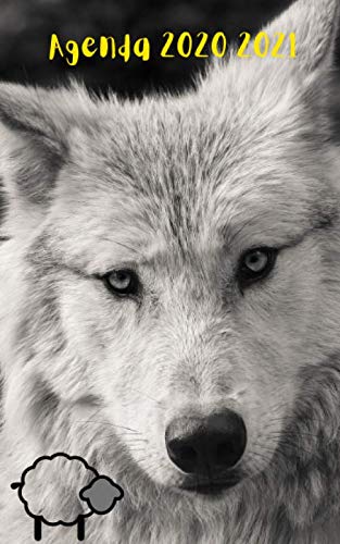 Agenda Scolaire 2020 2021 Journalier LOUP: 280 pages 12,7x20,32cm book
