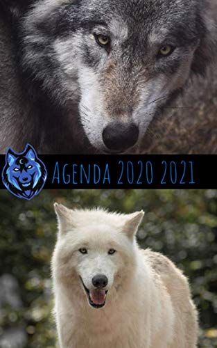 Agenda Scolaire 2020 2021 Journalier LOUP: 280 pages Format: 12,7 x 20,32cm book