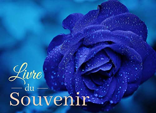 Livre du souvenir: Livre de condoléances pour les proches, famille et personne en deuil, livre de souvenir, livre d'or pour funérailles et décès, ... pour les proches, livre d'adieu book
