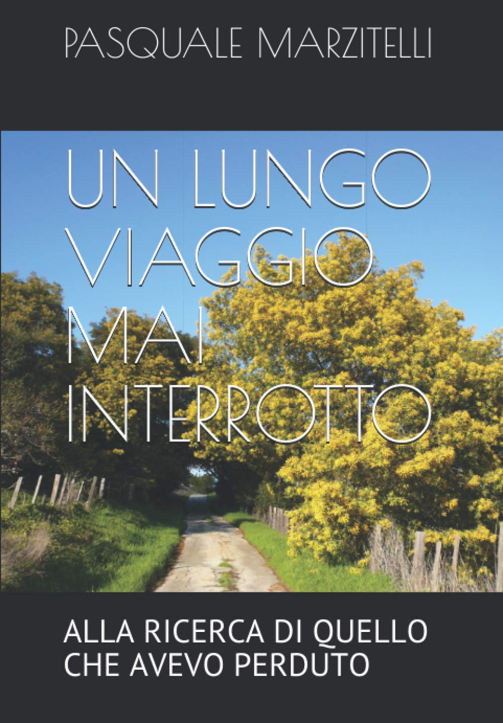 UN LUNGO VIAGGIO MAI INTERROTTO: ALLA RICERCA DI QUELLO CHE AVEVO PERDUTO book