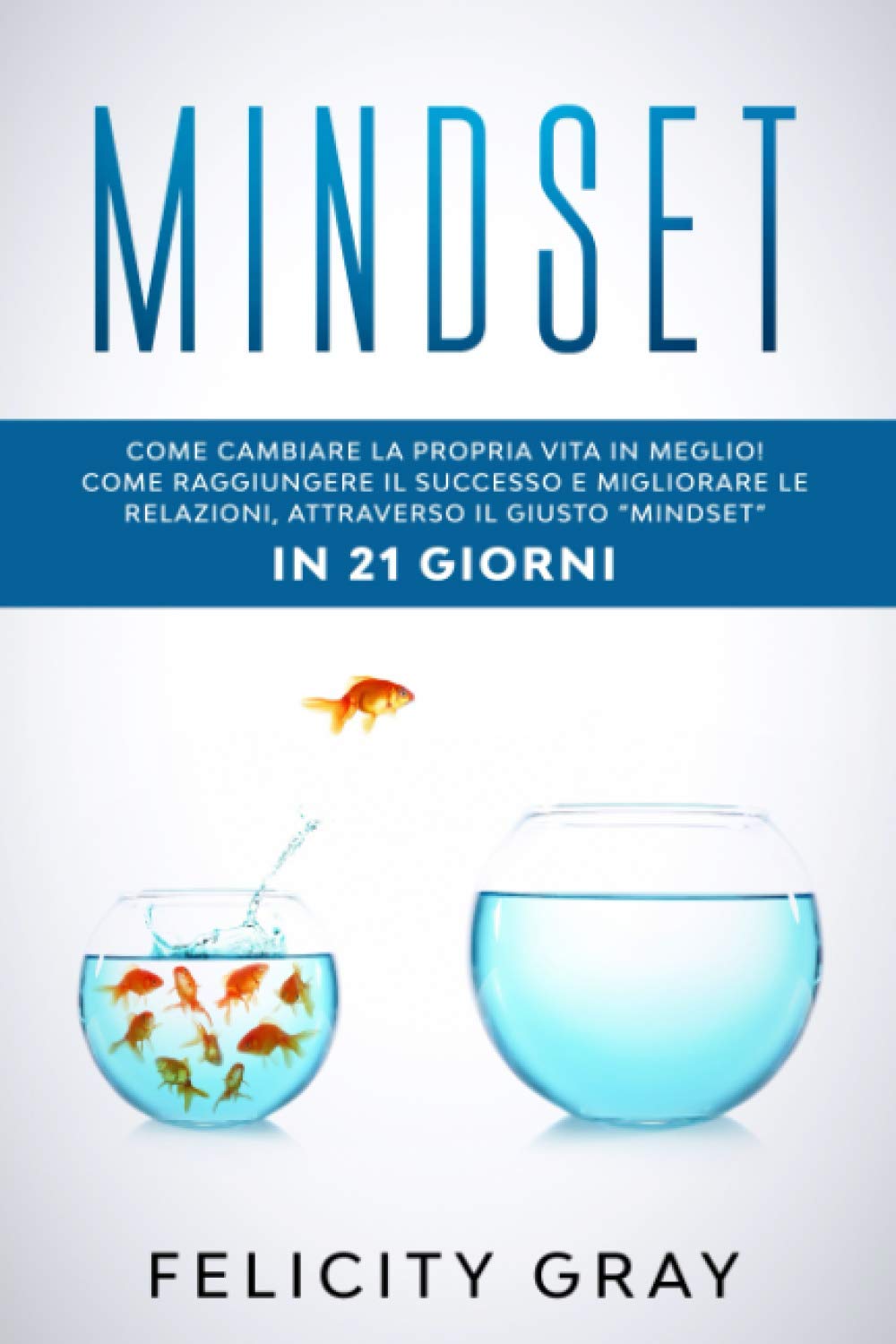 MINDSET: Come cambiare la propria vita in meglio! Come raggiungere il successo e migliorare le relazioni, attraverso il giusto “mindset” IN 21 GIORNI book