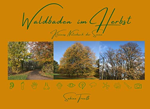 Waldbaden im Herbst - Kleines Notizbuch der Sinne Health, Nutrition & Fitness
