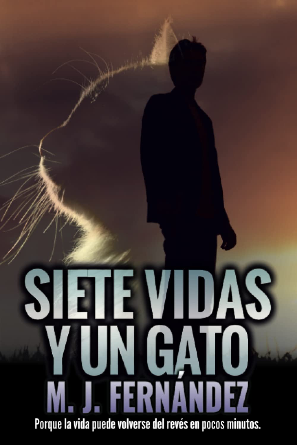 Siete vidas y un gato: (Inspector Salazar 07) Novela negra y policíaca International