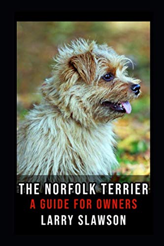 The Norfolk Terrier: A Guide for Owners Pets