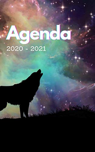 Agenda 2020 - 2021: Agenda 2020 2021 loup| 1 jour par page| 292 pages| collège| lycée| étudiant| couverture avec loup et galaxie| fourniture scolaire| animaux. book