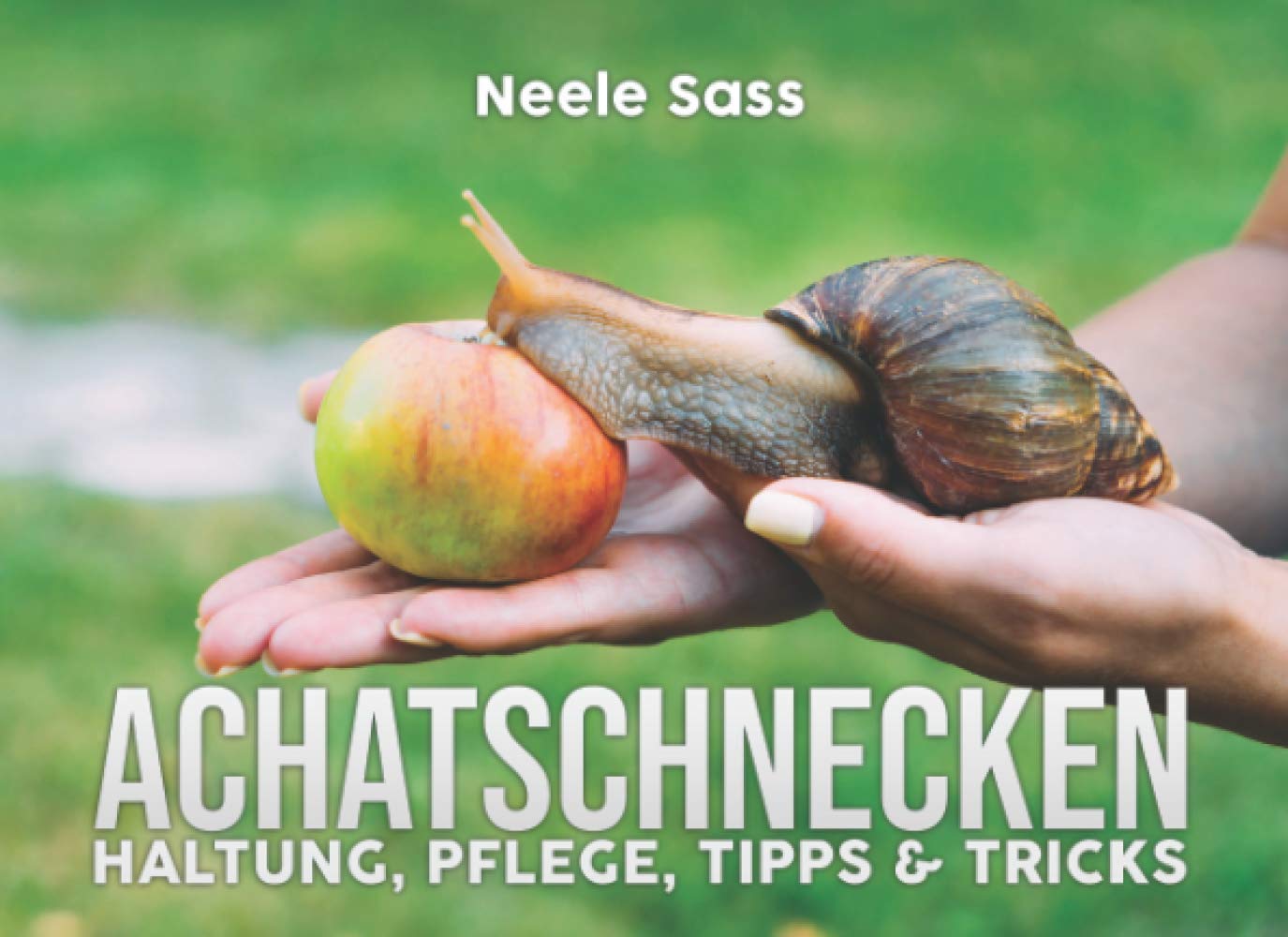 Achatschnecken Haltung, Pflege, Tipps & Tricks: (inkl. Anleitung für die Zucht) - alles über die Haltung der afrikanischen Riesenschnecke Pets