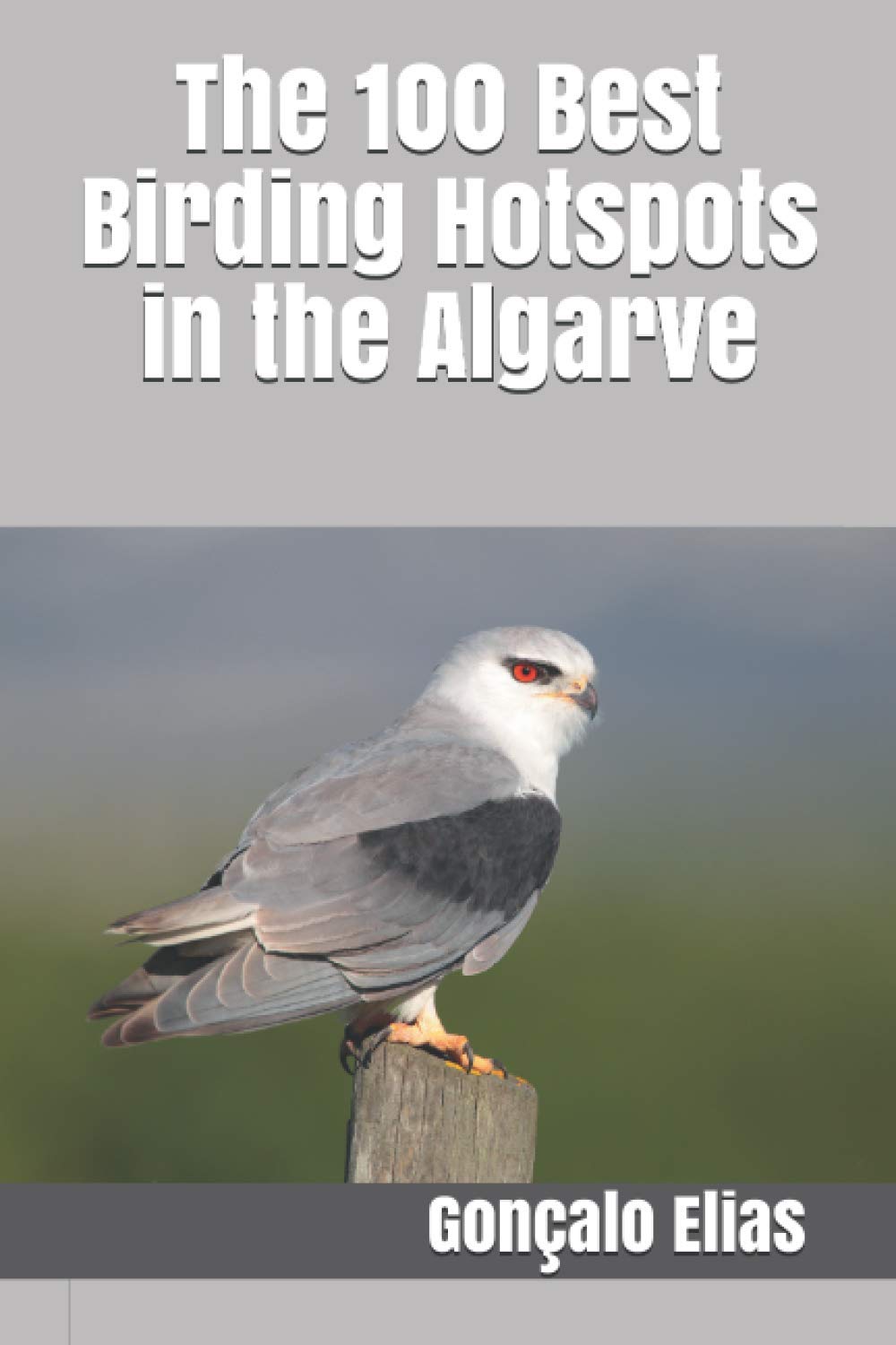 The 100 Best Birding Hotspots in the Algarve Mathematics